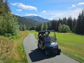 IMG 1474