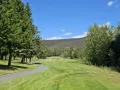 IMG 1484